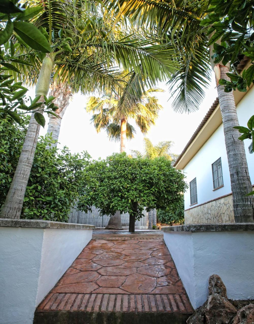 Alhaurín el Grande Casa Rural Tipica Andaluza, Wifi,Piscina, Barbacoa, Aire Acondicionado, 5Min Centros מראה חיצוני תמונה