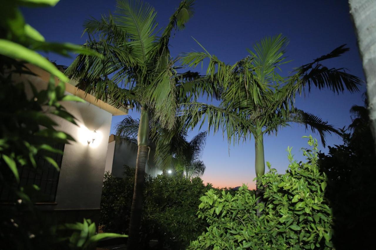 Alhaurín el Grande Casa Rural Tipica Andaluza, Wifi,Piscina, Barbacoa, Aire Acondicionado, 5Min Centros מראה חיצוני תמונה
