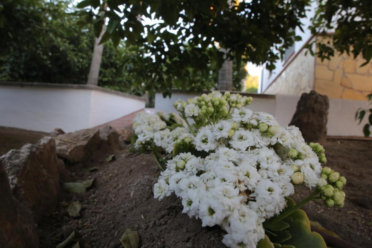 Alhaurín el Grande Casa Rural Tipica Andaluza, Wifi,Piscina, Barbacoa, Aire Acondicionado, 5Min Centros מראה חיצוני תמונה